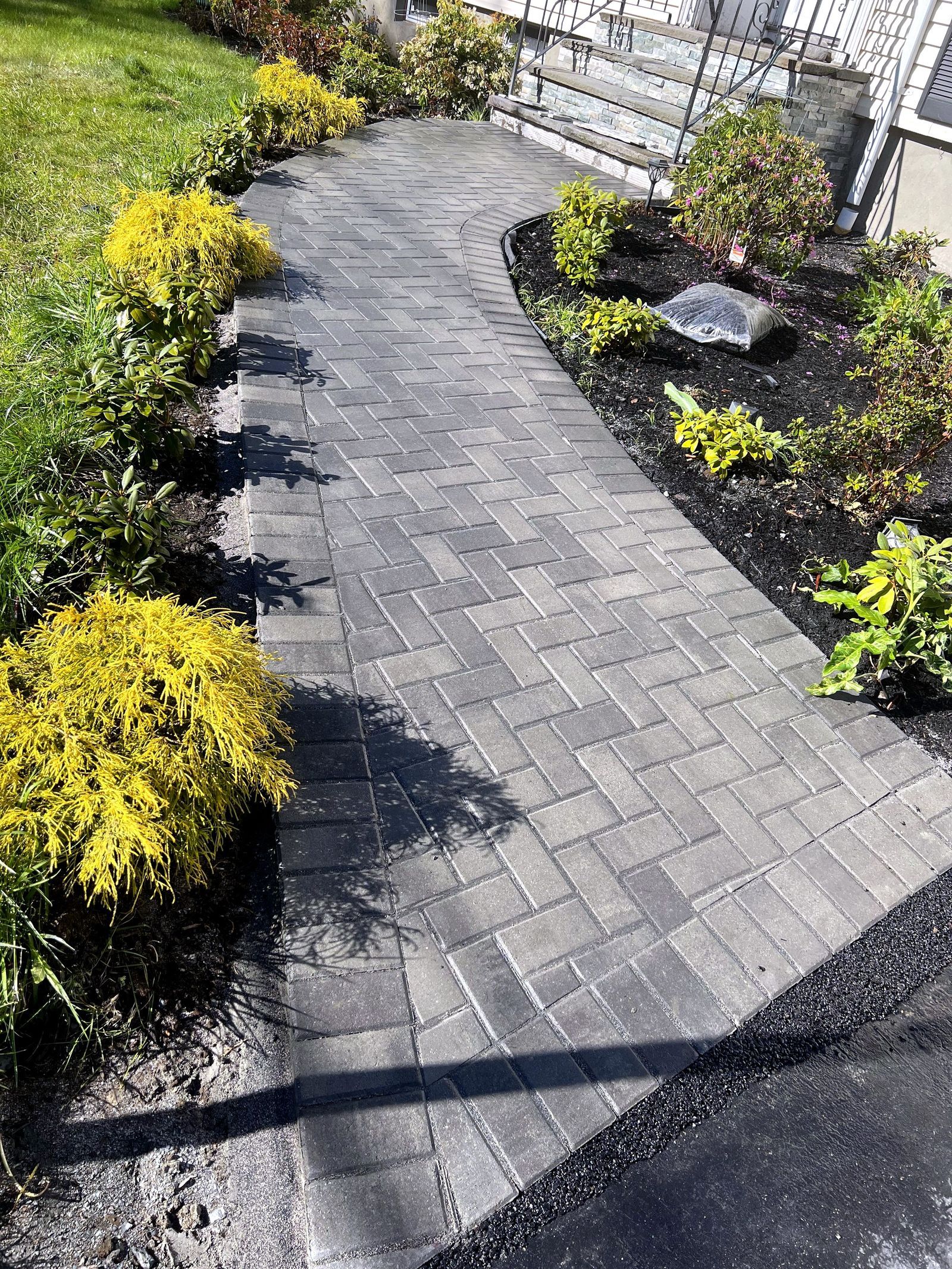 Paver walkway edged with golden shrubs and fresh mulch beds