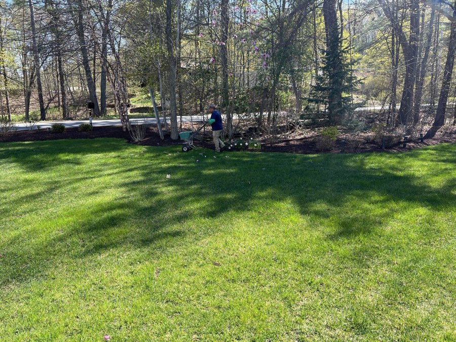 Weekly lawn care on a Sudbury, MA property by GOAT Hardscape